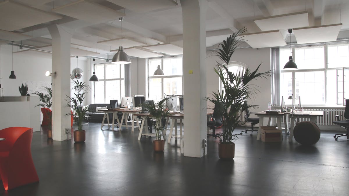 Commercial interior concept and open-plan test-fit